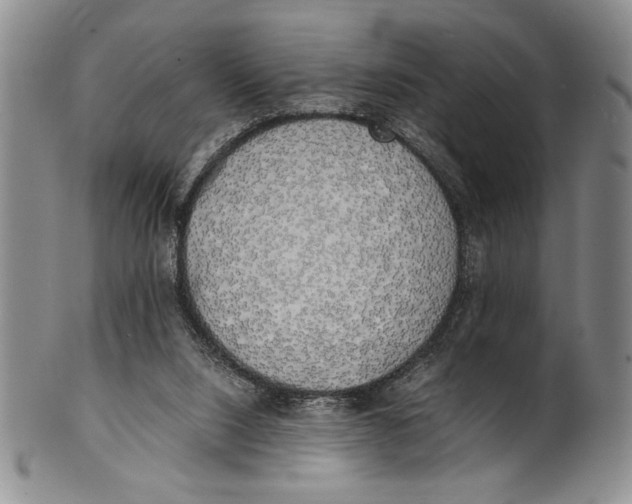 X0000100760064200807171351