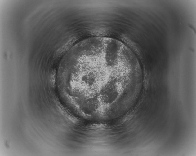 X0000100760065200807171351