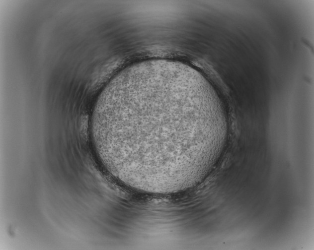 X0000100760066200807171351