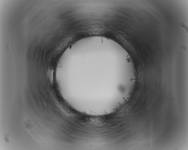 X0000100760070200807171351
