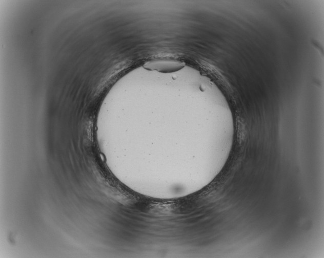 X0000100760071200807171351