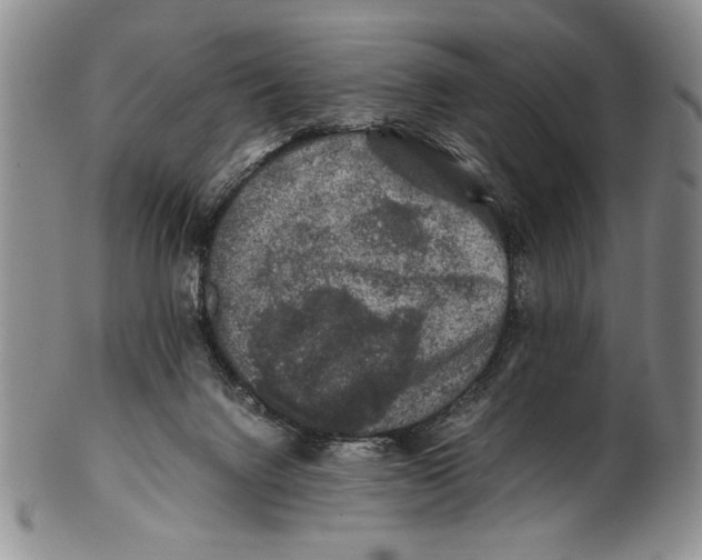 X0000100760072200807171351