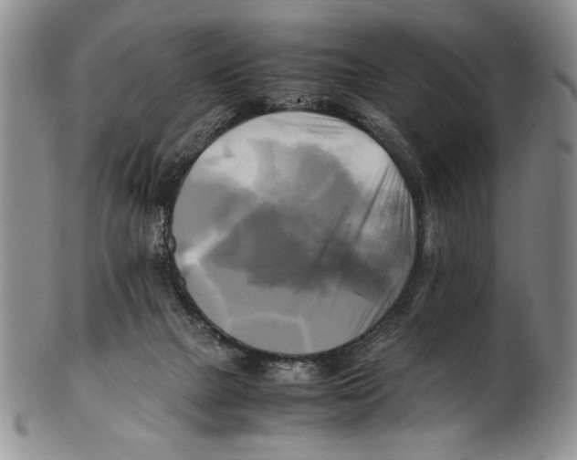 X0000100760073200807171351