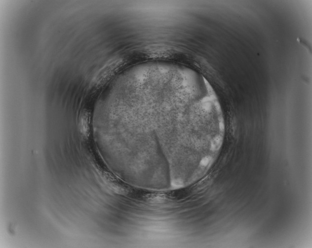 X0000100760074200807171351