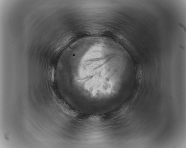 X0000100760076200807171351