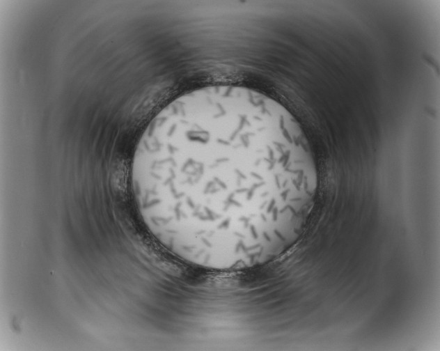 X0000100760078200807171351