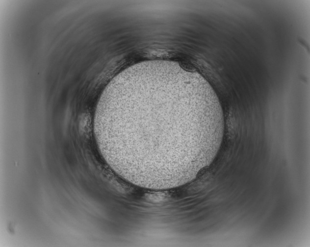 X0000100760079200807171351