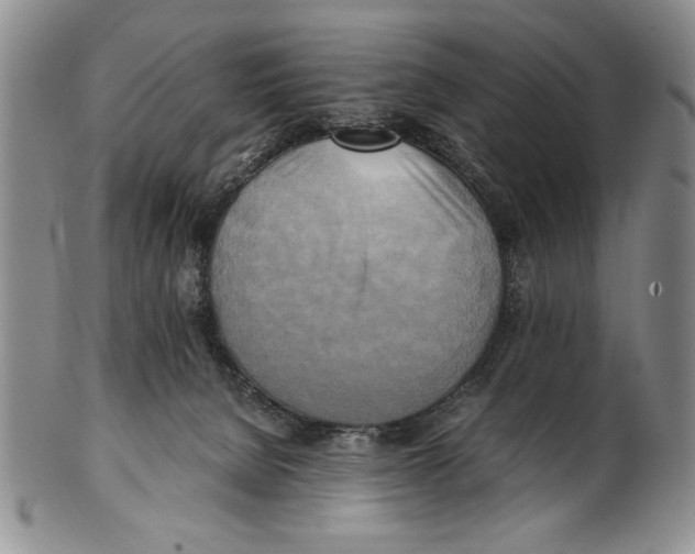 X0000100760080200807171351