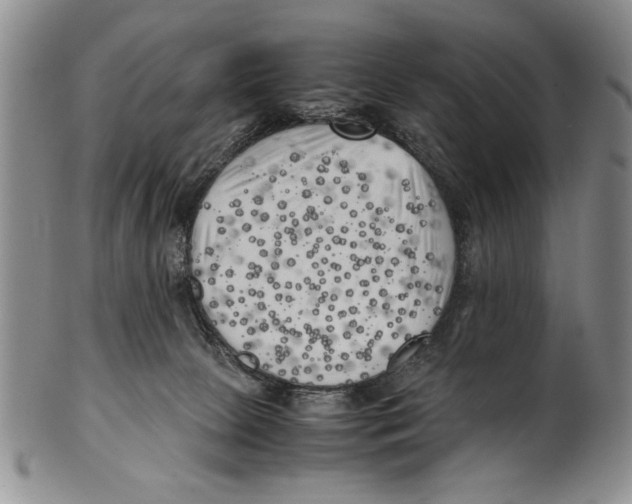 X0000100760081200807171351