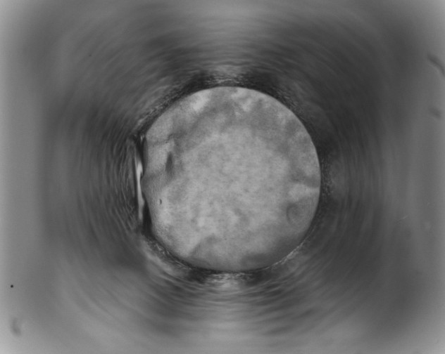 X0000100760082200807171351