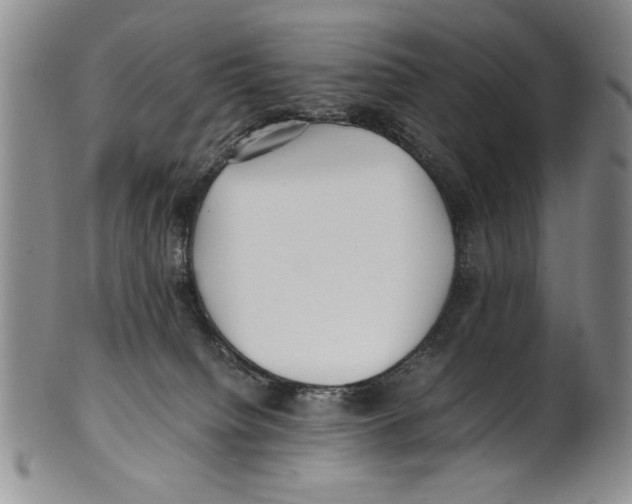 X0000100760084200807171351