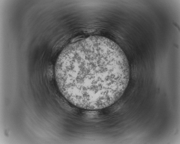 X0000100760085200807171351