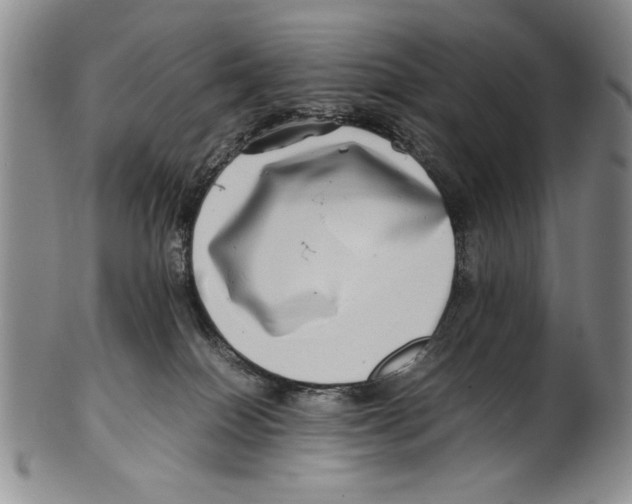 X0000100760086200807171351