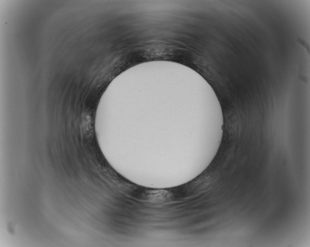 X0000100760087200807171351