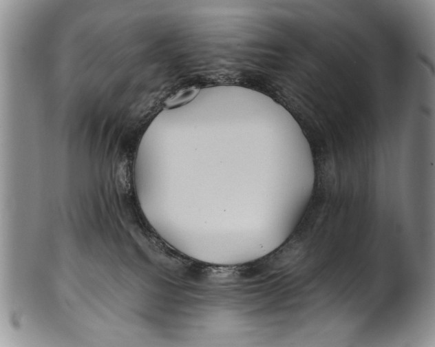X0000100760088200807171351