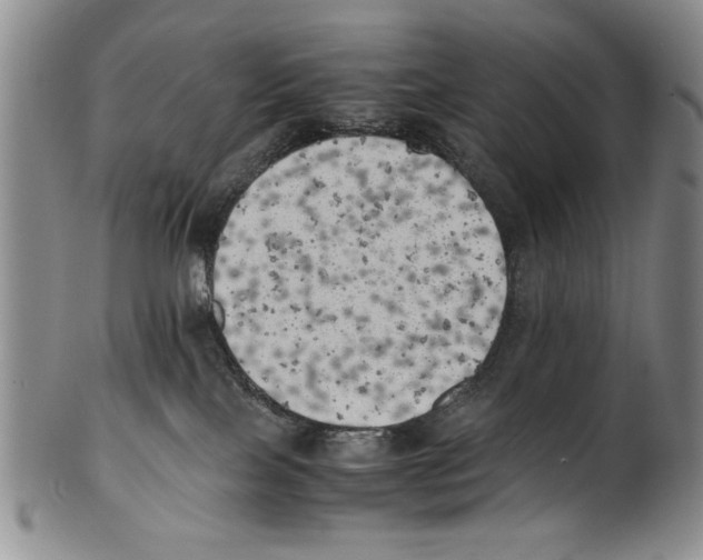 X0000100760089200807171352