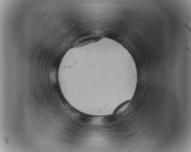 X0000100760090200807171352