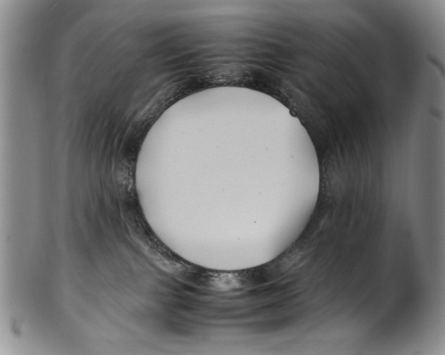 X0000100760091200807171352