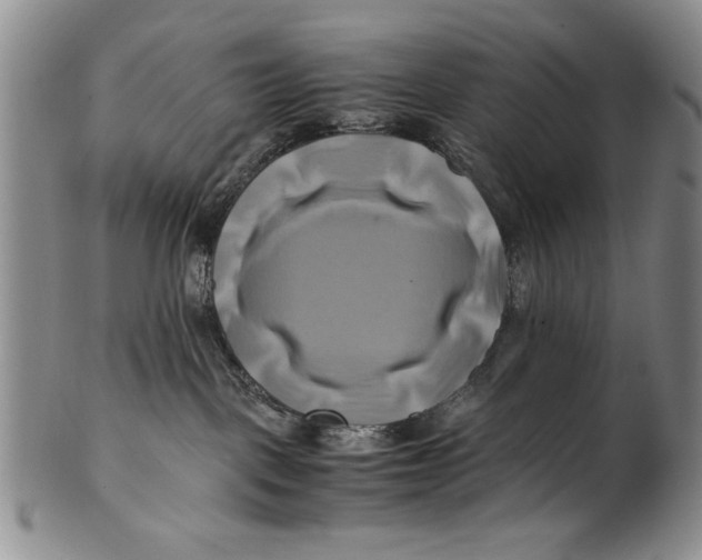 X0000100760093200807171352