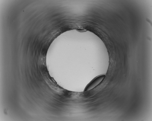 X0000100760096200807171352