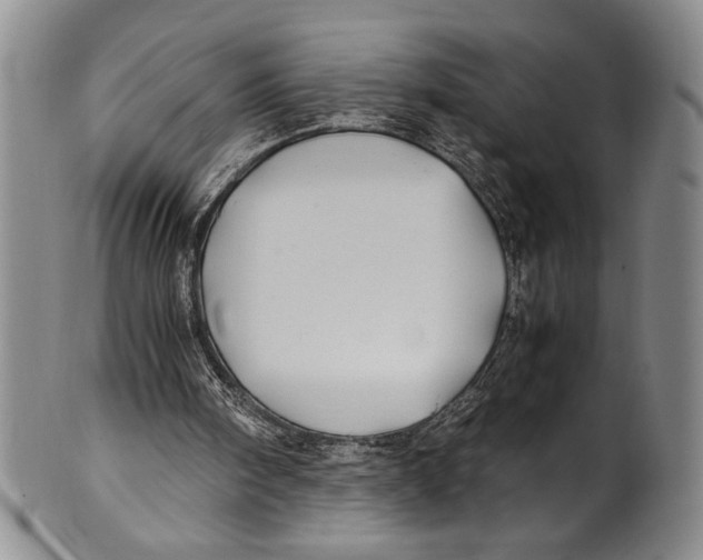 X0000100760098200807171351