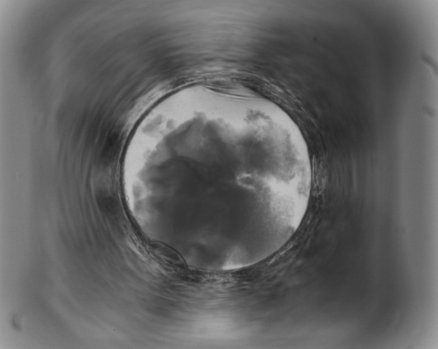 X0000100760099200807171351