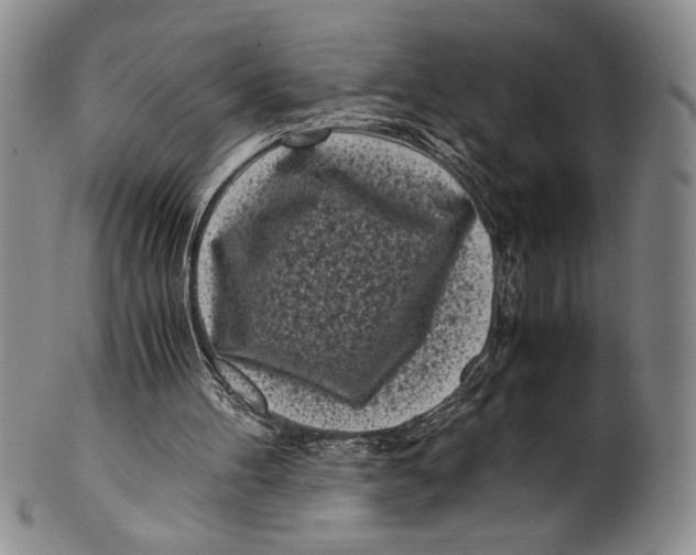 X0000100760100200807171351
