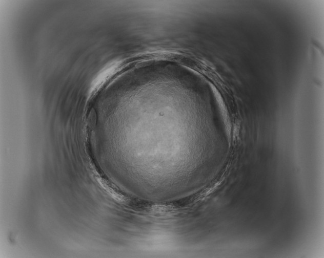 X0000100760101200807171351