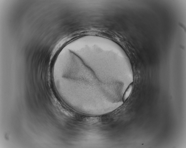 X0000100760102200807171351