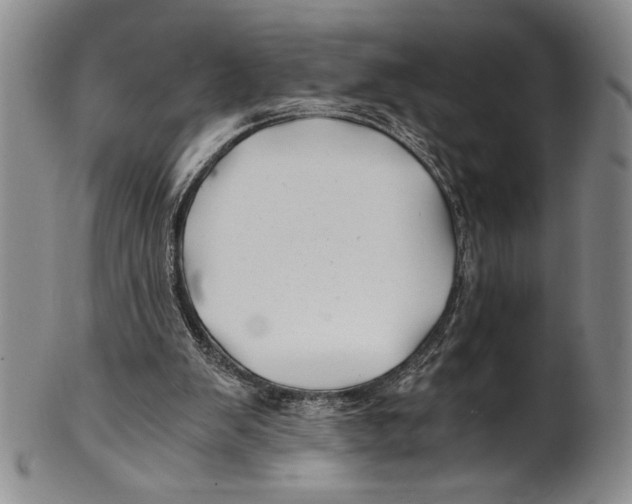 X0000100760103200807171351
