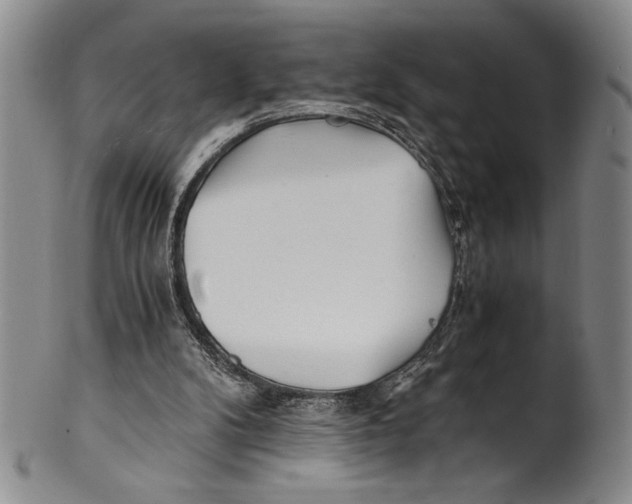 X0000100760104200807171351