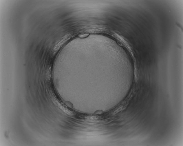 X0000100760105200807171351