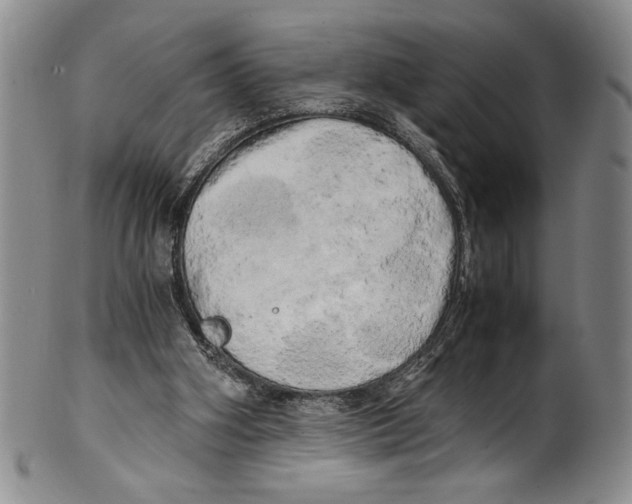 X0000100760106200807171351