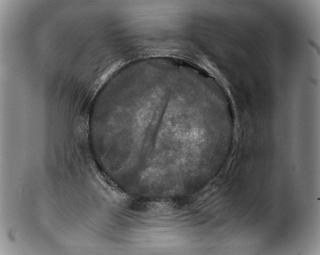 X0000100760107200807171351