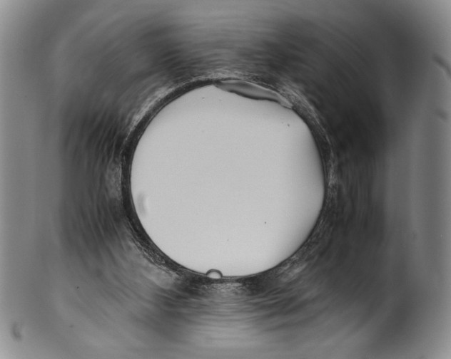 X0000100760108200807171351
