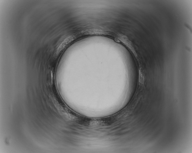 X0000100760109200807171351
