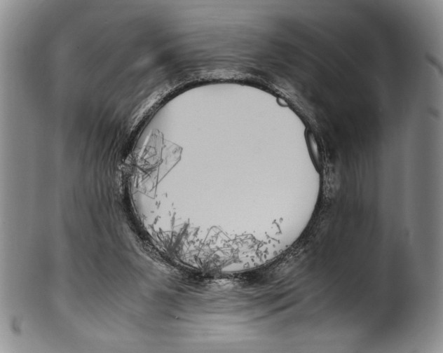 X0000100760111200807171351