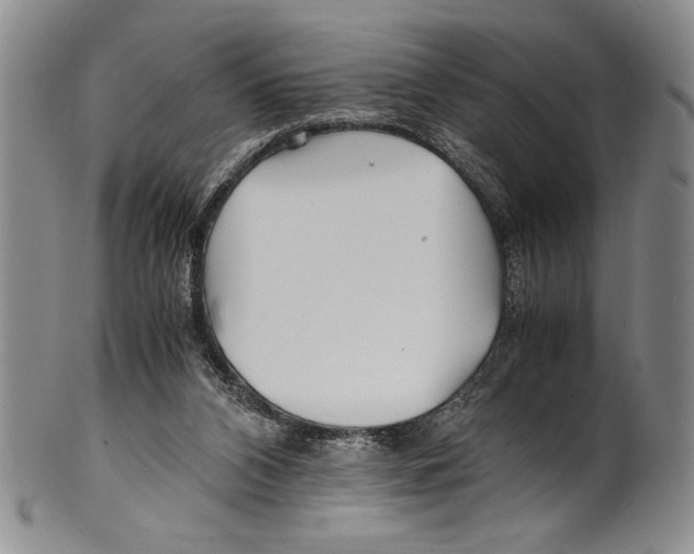 X0000100760112200807171351
