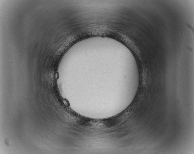 X0000100760113200807171351