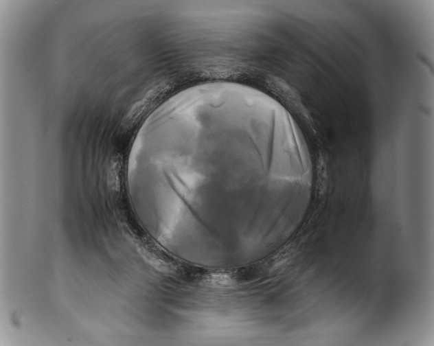 X0000100760114200807171351