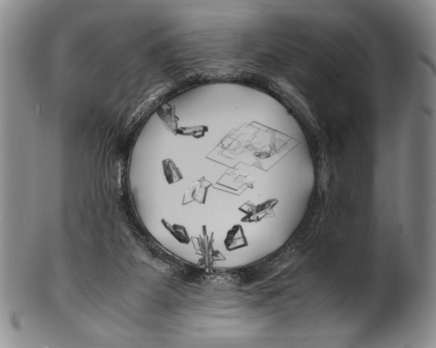 X0000100760115200807171351