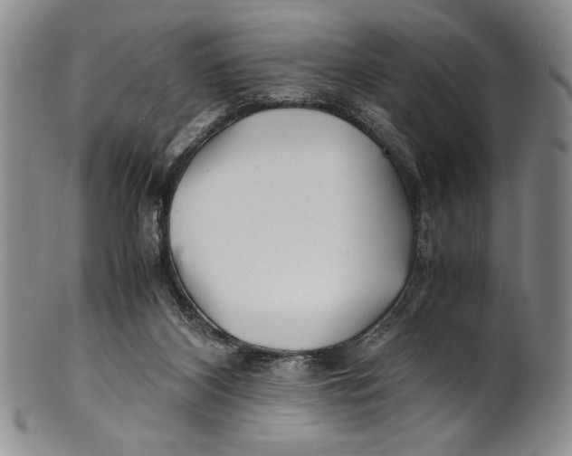 X0000100760116200807171351