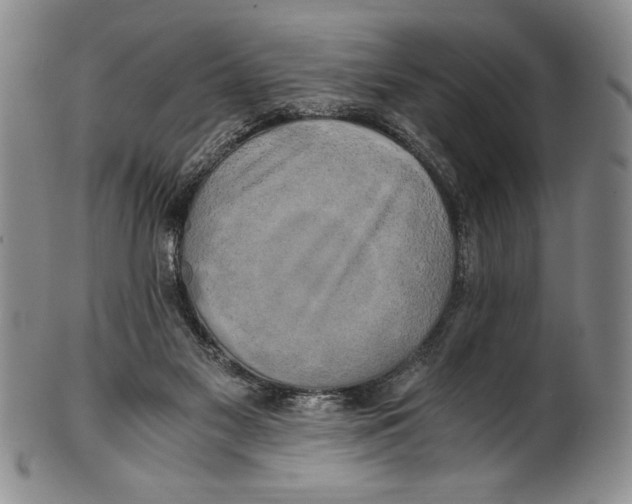 X0000100760117200807171351