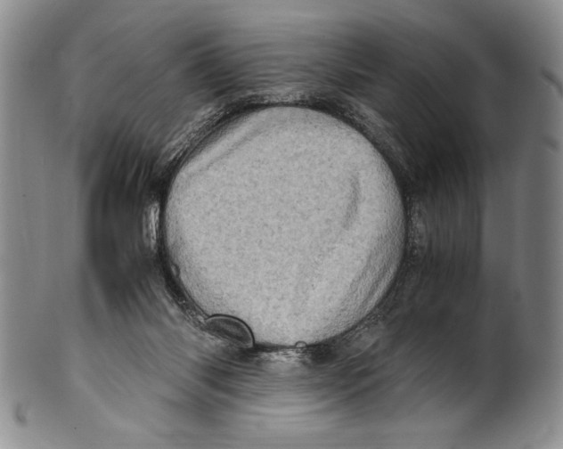 X0000100760118200807171351