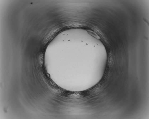 X0000100760119200807171351
