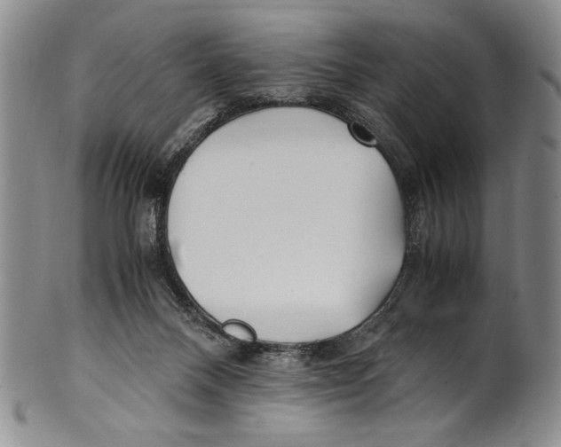 X0000100760120200807171351