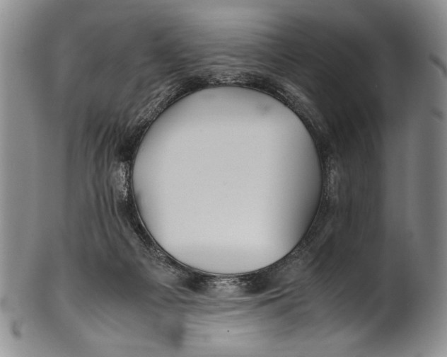 X0000100760121200807171351