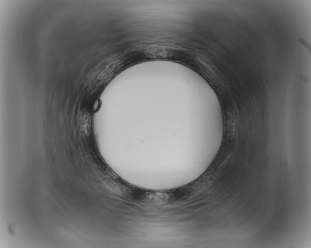X0000100760125200807171350