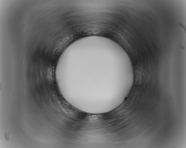 X0000100760126200807171350