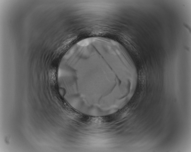 X0000100760127200807171350